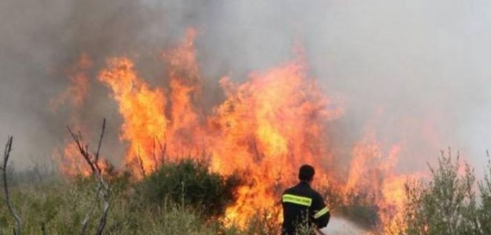 Πυρκαγιά σε δασική έκταση στο Στρογγυλοβούνι Ξηρομέρου – Συνδρομή και από αέρος