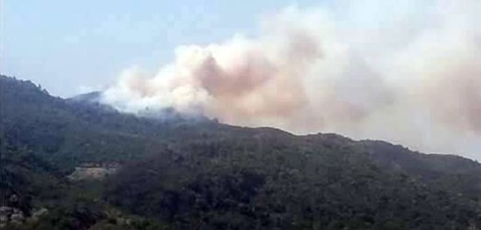 Υπό έλεγχο η φωτιά στη Σκουτεσιάδα (ΔΕΙΤΕ ΦΩΤΟ)