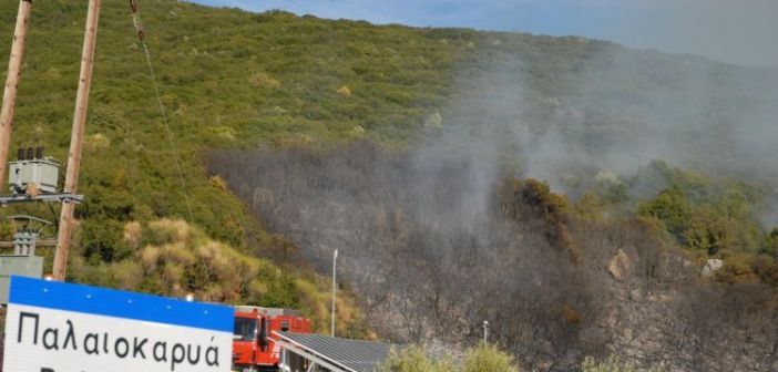 Αγρίνιο: Πυρκαγιά στην περιοχή της Παλαιοκαρυάς (ΔΕΙΤΕ ΦΩΤΟ)
