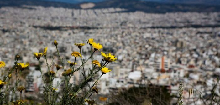 Καιρός: Επιστρέφει η άνοιξη – Λιακάδα και άνοδος της θερμοκρασίας σήμερα