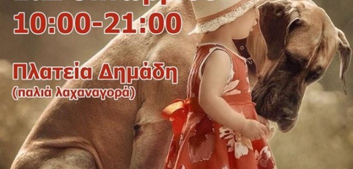 Φιλοζωική Αγρινίου: Εκδήλωση και bazaar για τα αδέσποτα