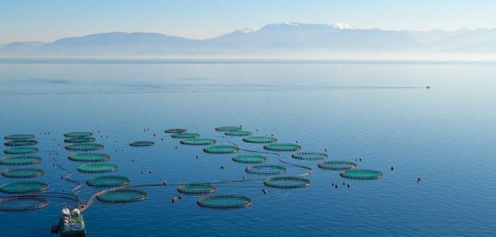 “Αντίσταση Πολιτών” Δυτικής Ελλάδας: Επανεξέταση της Π.Ο.Α.Υ. μετά από απόφαση του Δήμου Ξηρομέρου