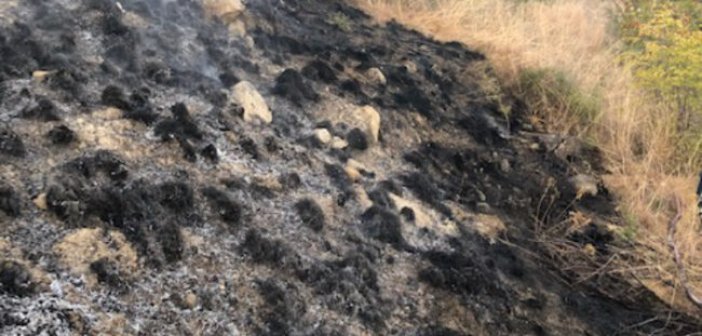 Πυρκαγιά στην Αμφιλοχία – Συο σημείο δύναμη της Πυροσβεστικής