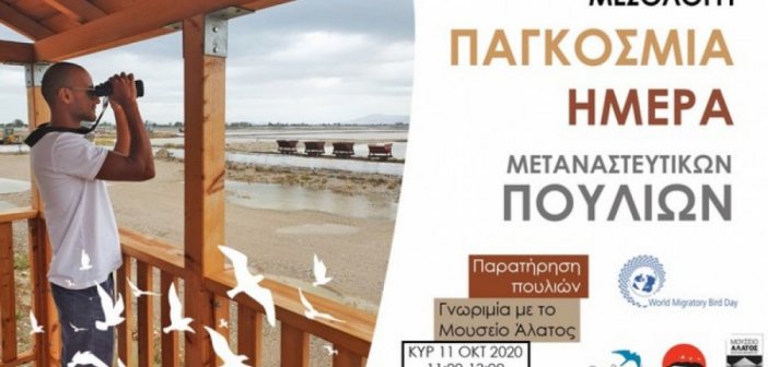 Γιορτή της παγκόσμιας ημέρας μεταναστευτικών πουλιών στο Μεσολόγγι