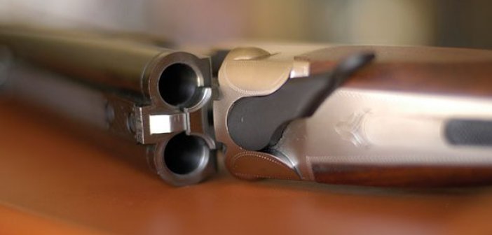 Μεσολόγγι: Πυροβόλησε γάτα στην αυλή του σπιτιού του