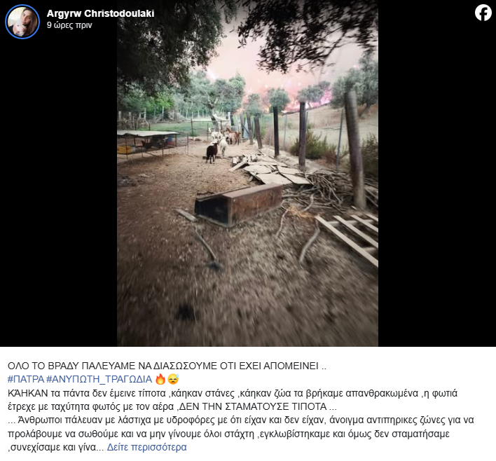 Η ανάρτηση «κόλαφος» εθελόντριας για τα υβριστικά μηνύματα στα μέσα κοινωνικής δικτύωσης κατά των εθελοντών πυροσβεστών