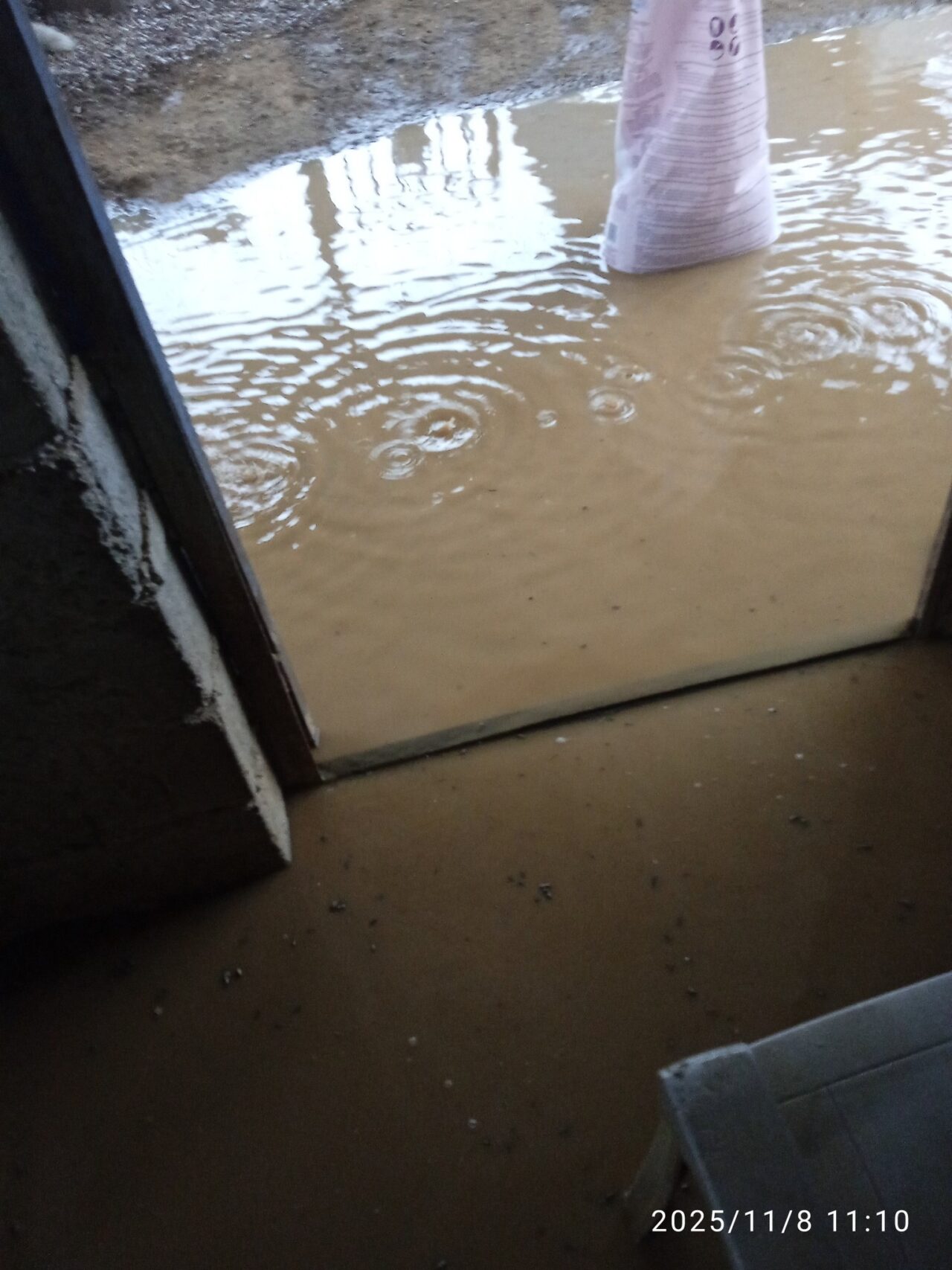 Αγρίνιο: Η κακοκαιρία τα έκανε "μούσκεμα" στο καταφύγιο αδέσποτων