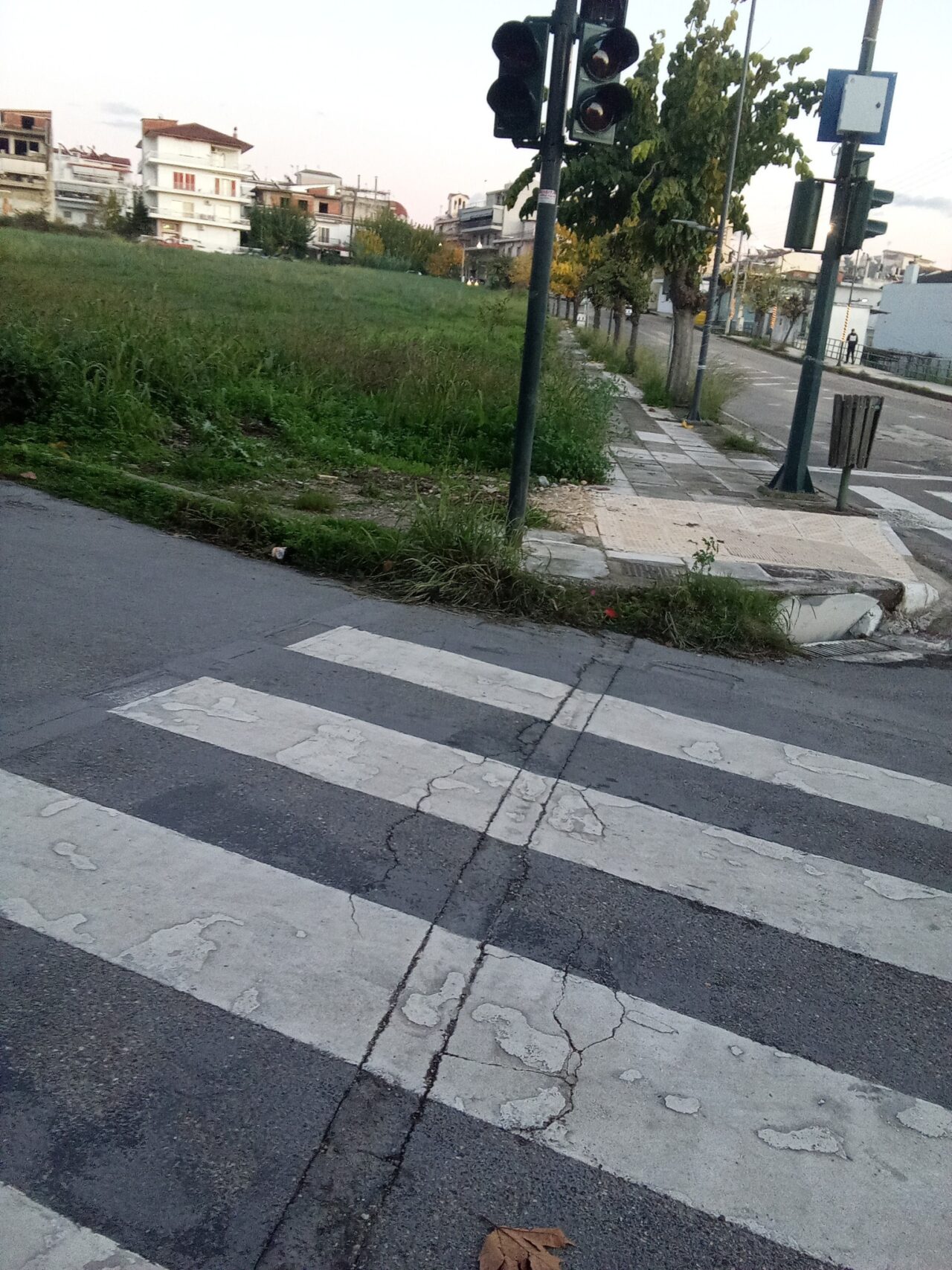 Δημοσθένης Σιδηρόπουλος: Δρόμοι χωρίς πρόβλεψη για τα άτομα με αναπηρία στο Αγρίνιο - Έργα μόνο για φωτογραφίες   