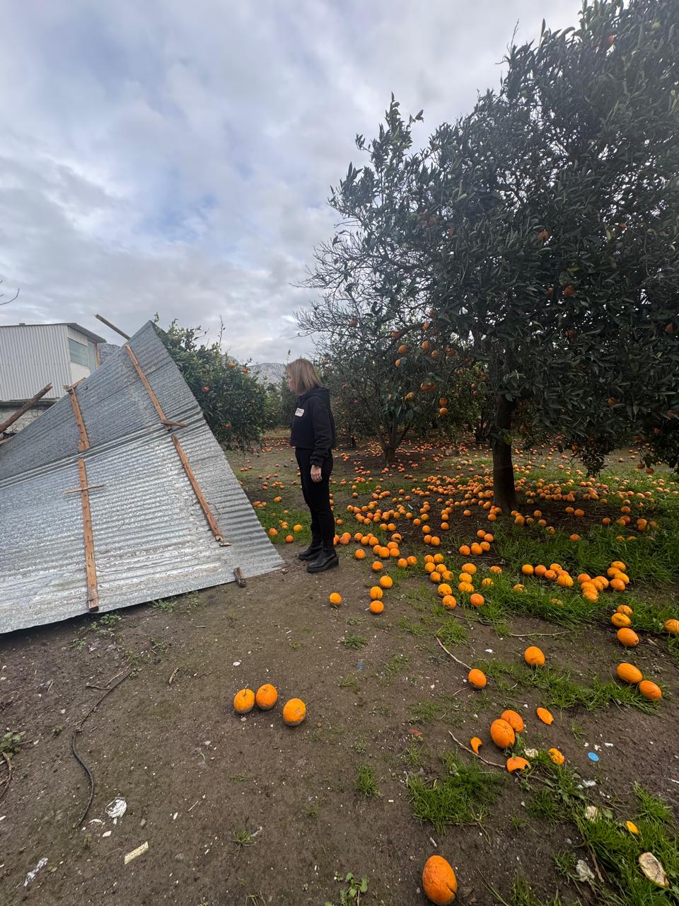 Η Χριστίνα Σταρακά στις κατεστραμμένες καλλιέργειες σε Ευηνοχώρι και Γαλατά 