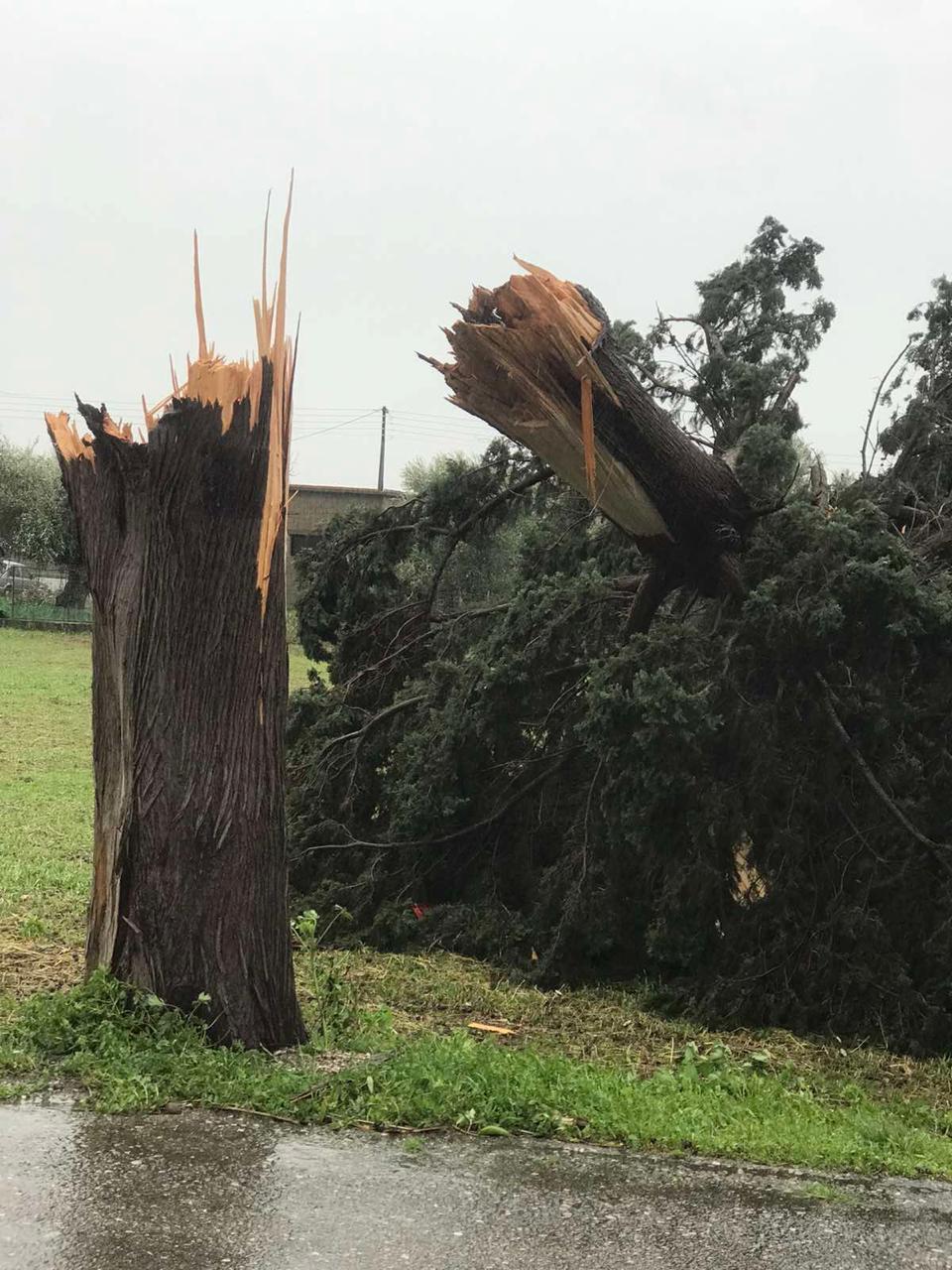 Η Χριστίνα Σταρακά στις κατεστραμμένες καλλιέργειες σε Ευηνοχώρι και Γαλατά 