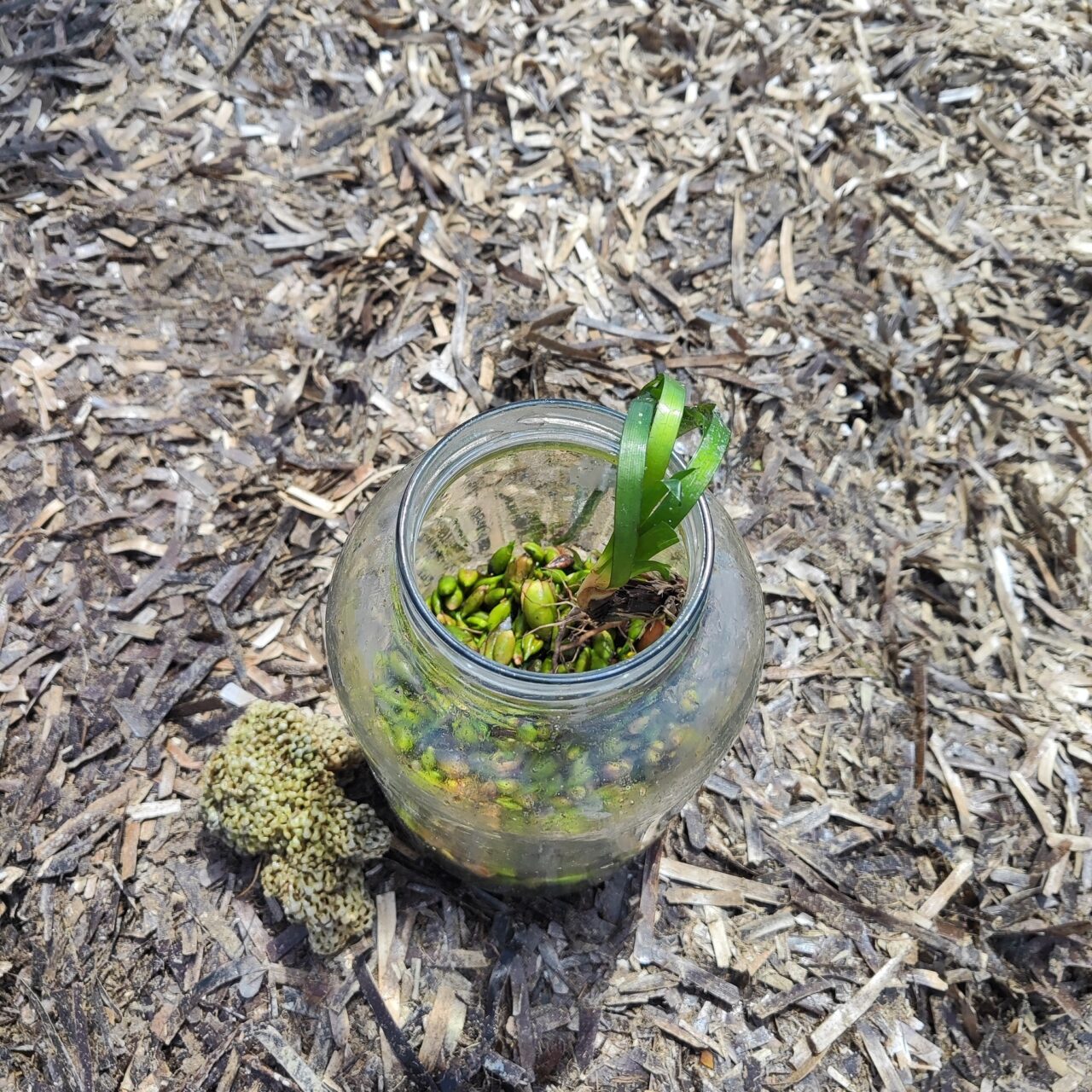 Δωρεάν πληροφοριακό - εκπαιδευτικό υλικό από το Κ.Ε.ΠΕ.Α. Μεσολογγίου με αφορμή τον εορτασμό της Παγκόσμιας Ημέρας Υγροτόπων