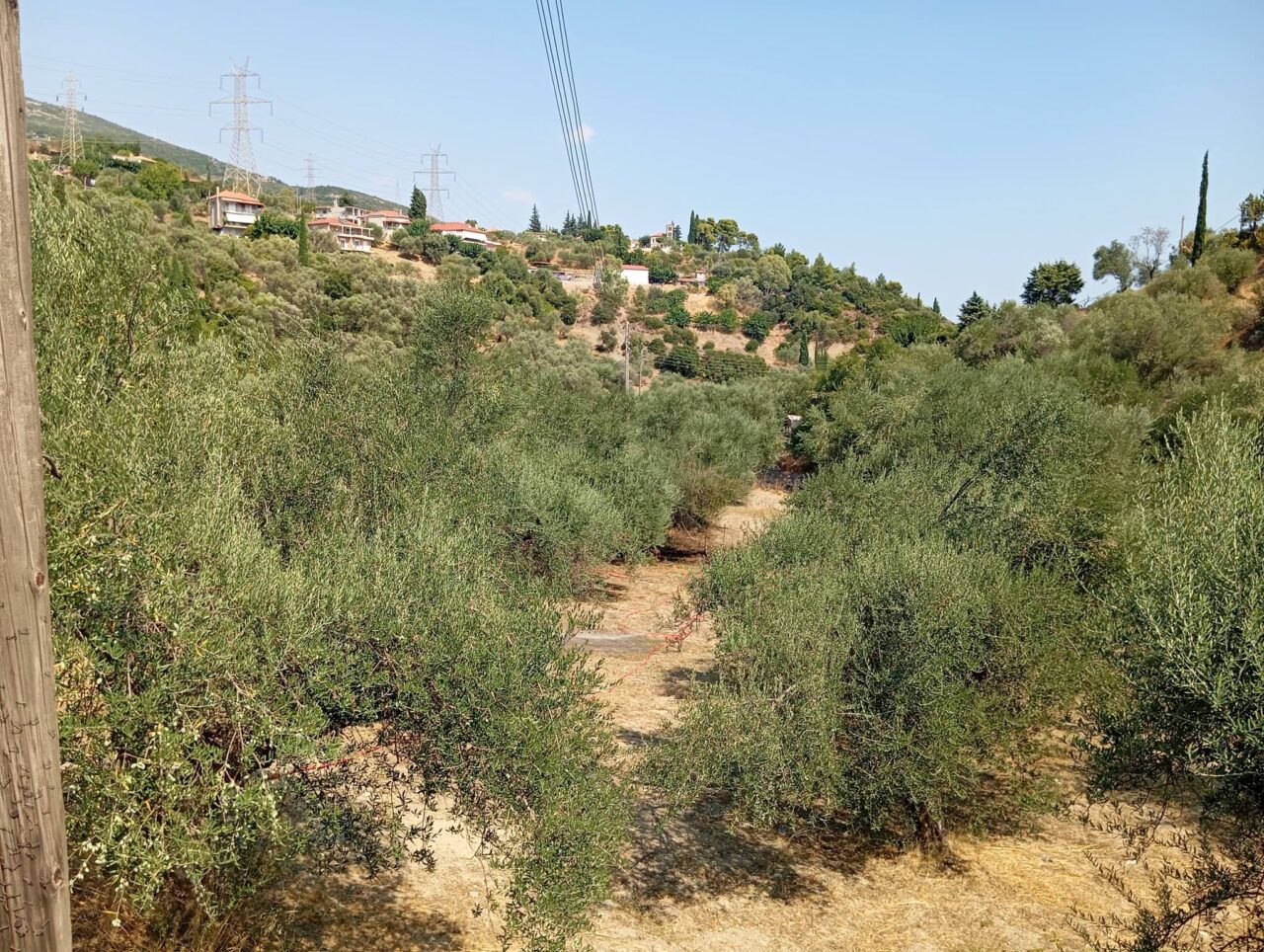 Ναύπακτος: Φωτιά μέσα στο χωριό της Μαμουλαδας  
