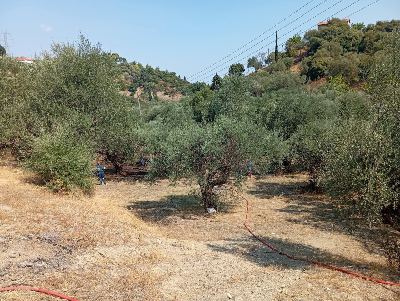 Ναύπακτος: Φωτιά μέσα στο χωριό της Μαμουλαδας  