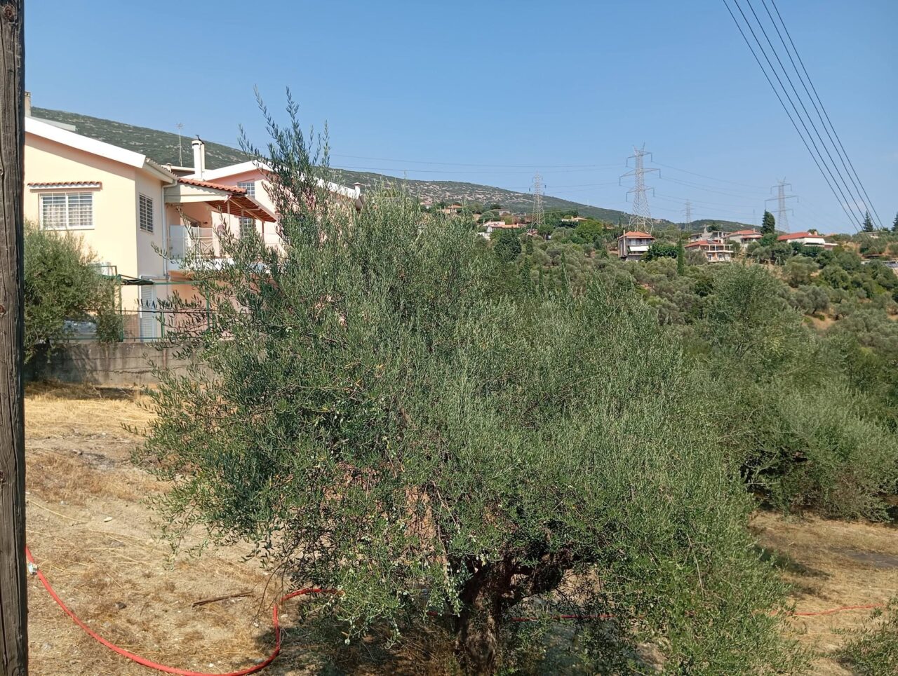 Ναύπακτος: Φωτιά μέσα στο χωριό της Μαμουλαδας  