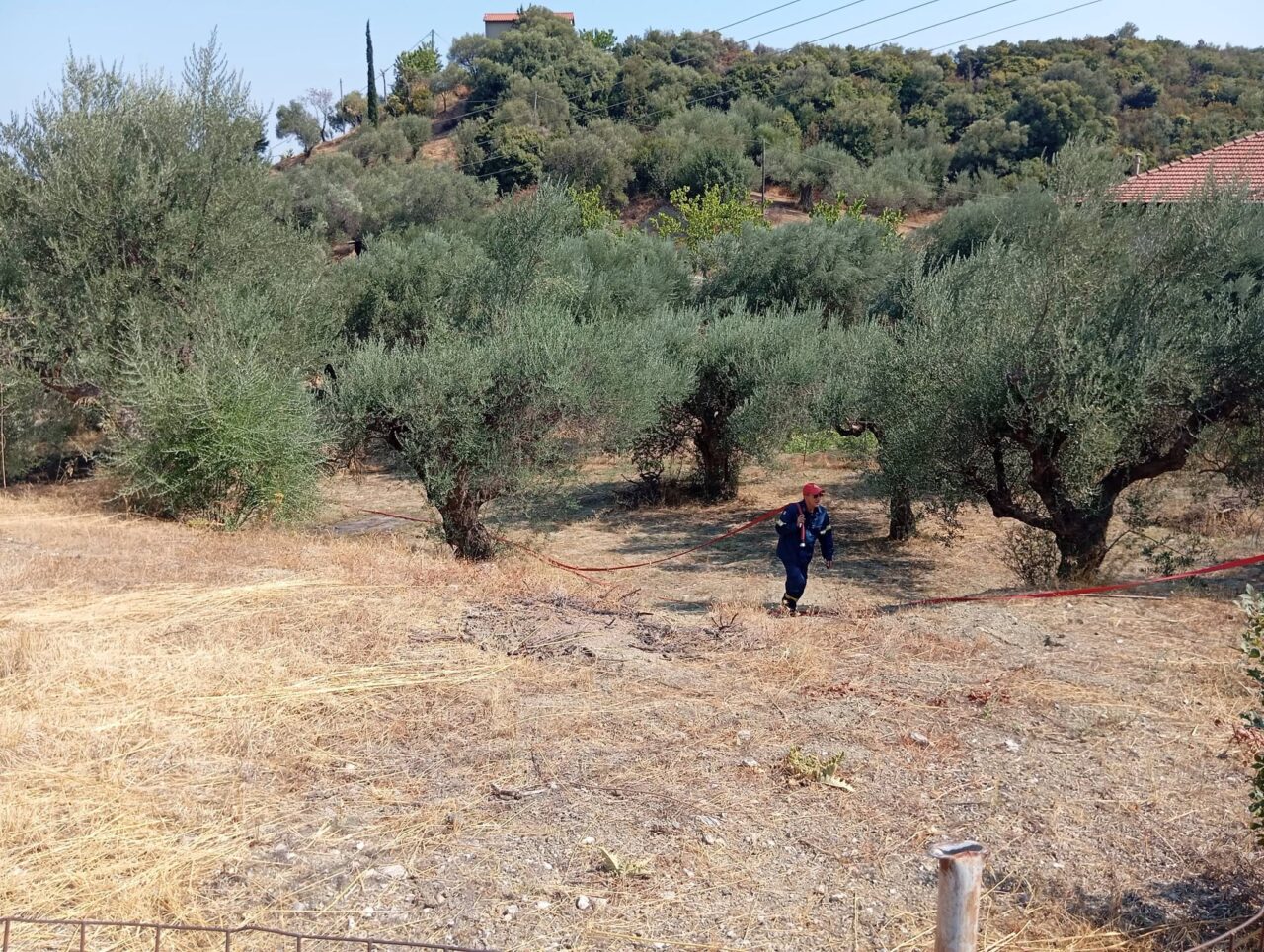 Ναύπακτος: Φωτιά μέσα στο χωριό της Μαμουλαδας